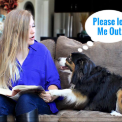 Please+Let+Me+Out-1920w